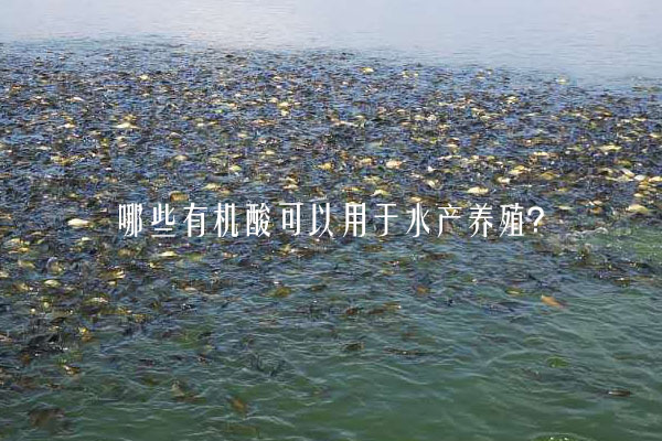 哪些有機酸可以用于水產養(yǎng)殖？
