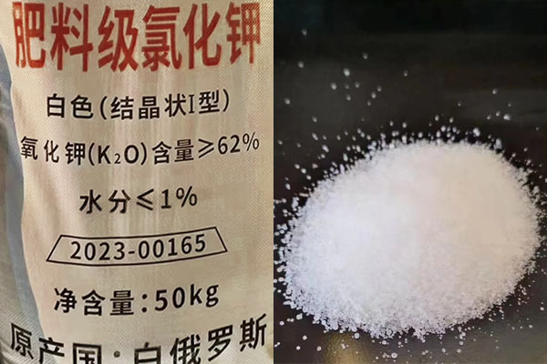 肥料級氯化鉀如何施用？